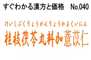 040桂枝茯苓丸料加ヨクイニン